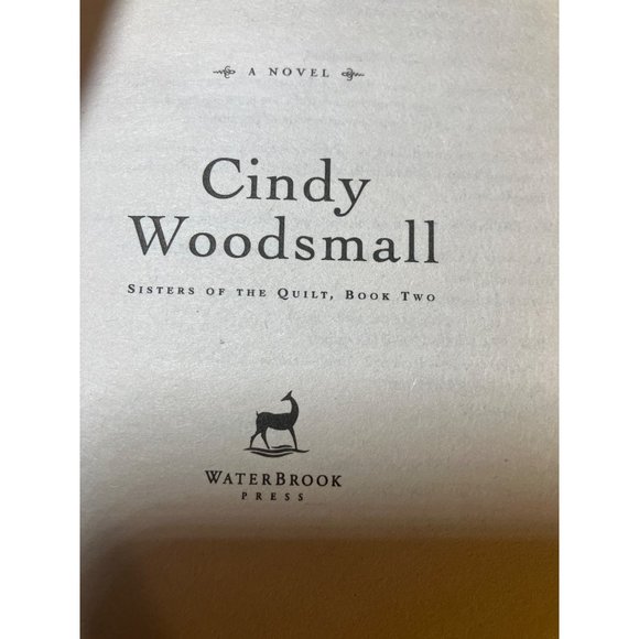 When the Morning Comes: Book 2 in the Sisters of the Quilt Amish Series - Picture 3 of 8